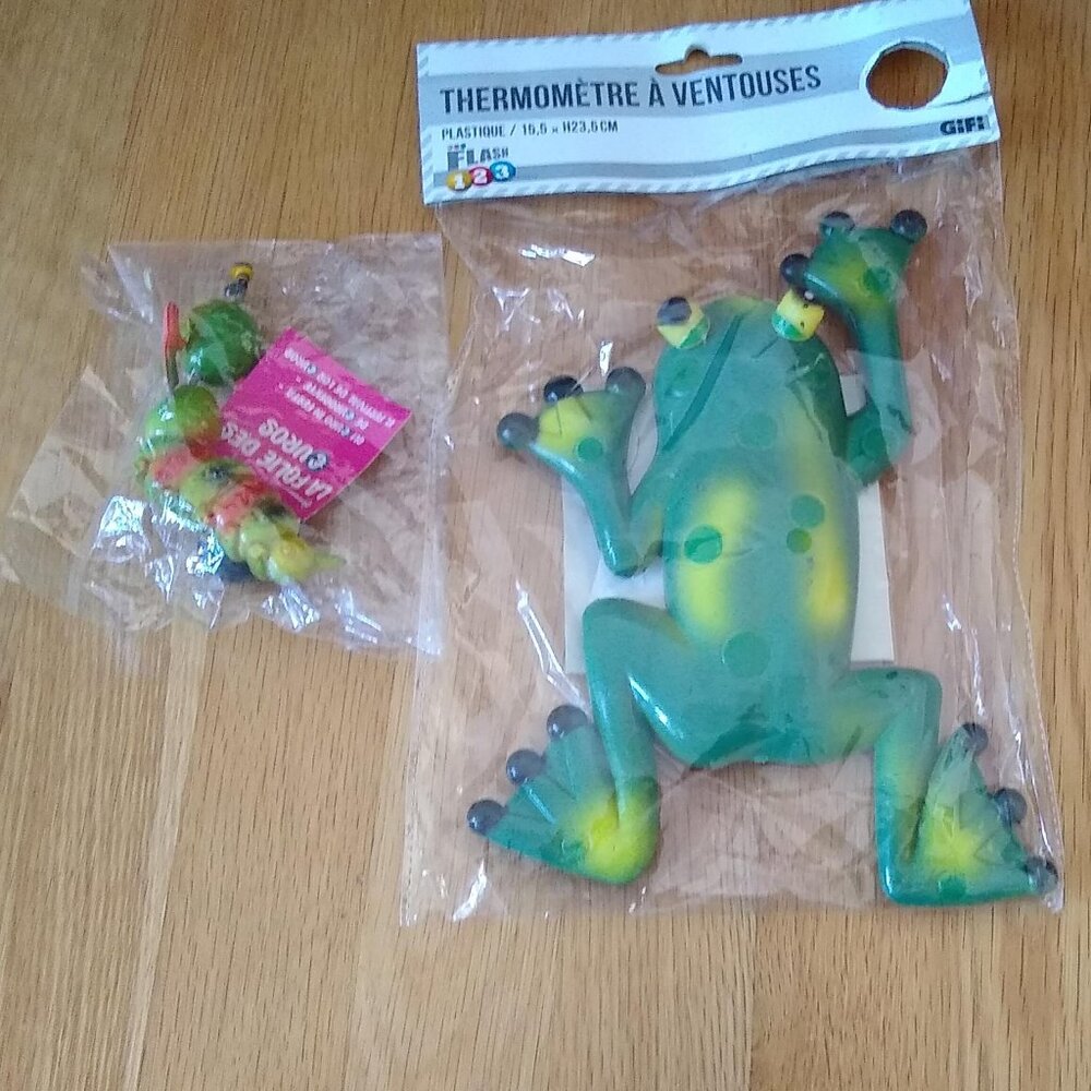 Frog Thermometer + Caterpillar magnet New